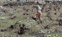 Kış ve bahar aynı anda Beytüşşebap'ta yaşıyor