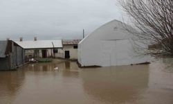 Kızılırmak taştı, Canova köyü tamamen sular altında