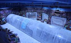 Kocaeli'de su altı serüveni başlıyor: 30 akvaryumla büyüleyici keşif