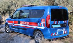 Köşk'te bir kişi ağaçta asılı bulundu