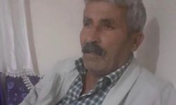 Kovalamaca sırasında yola fırlayan inek, sahibinin ölümüne neden oldu