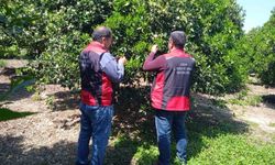 Kozan'da biyolojik mücadele eğitimleri hız kazanıyor