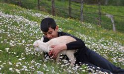 Küçük çobanlar Lapseki'de zorlu bir mücadele verecek