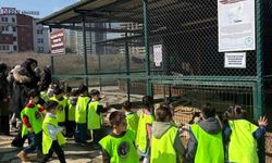 Küçükler için doğada hem eğlence hem de eğitim fırsatları