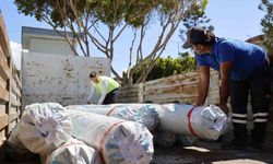 Kumluca'daki Çiftçilere Hortum Sonrası Sera Naylonu Desteği Sağlandı