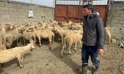 Kurbanlık parasıyla düğün yapmıştı şimdi bebek masraflarına harcayacak