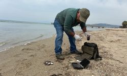 Kuşadası'nda iki deniz kaplumbağası kıyıya vurdu