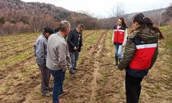 Kütahya'da yüzde 75 hibeli ahududu bahçelerinde kontroller gerçekleştirildi