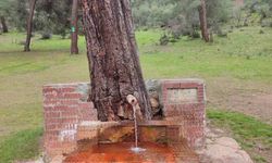 Laçin'de doğal maden suyu çeşmesi yoğun ilgi görüyor