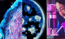 L'Oréal ve Institut Pasteur'den cilt sağlığı üzerine iş birliği