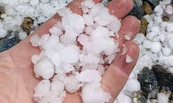 Malatya'da dolu, kayısı bahçelerini vurdu