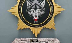 Malatya'da uyuşturucu baskını: 2 tutuklama