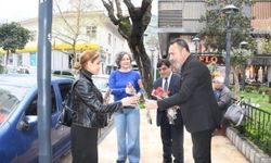 Manisa Sokakları 404 Karanfille Renklendi