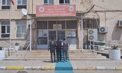 Mardin'de 50 yıl hapis cezası olan 2 firari yakalandı