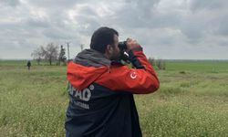 Mardin'de kaybolan yaşlı kadının aranmasına devam ediliyor