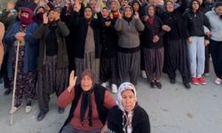 Mersin'de orman arazisindeki narenciye bahçeleri için kaldırma kararı protesto edildi