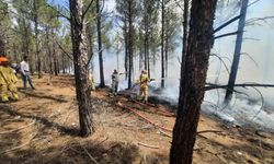 Mersin'de orman yangınlarına yönelik acil tatbikat gerçekleştirildi