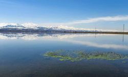 Meteorolojiden zirai don uyarısı geldi