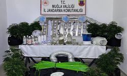 Muğla Jandarması'ndan Uyuşturucu Tacirlerine Mart Ayı Darbesi: 173 Gözaltı