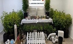 Muğla'da 15. Yüzyıla Ait Tarihi Tevrat Ele Geçirildi