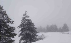 Muğla'da Nisan Ayında Kar Sürprizi: Göktepe Dağı Beyaz Örtüyle Kaplandı