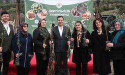 Muğla'nın Tarım Potansiyeli ve Büyükşehir Desteği