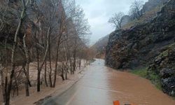Munzur Nehri'nin taşması Tunceli-Ovacık yolunu kapattı