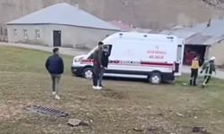 Muradiye-Çaldıran Yolu'nda trafik kazası