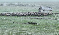 Muş'ta nisan karı etkisini gösteriyor: 22 köy yolu kapalı