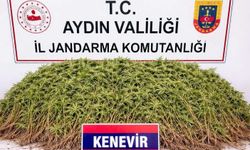 Nazilli'de uyuşturucu baskını