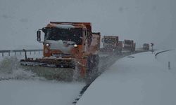 Nisan ayında Van'a kış geldi: Şehir lapa lapa yağan karla kaplandı