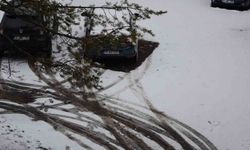 Nisanda kar yağışı şoku