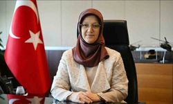 Öğrenciler ve iş dünyası MCBÜ Kariyer Fuarı'nda bir araya gelecek