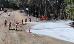 Ormancılar kıyasıya mücadele etti