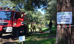 Ormancılıkta madalya için büyük mücadele