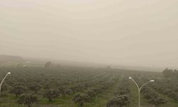 Osmaniye'de Libya Menşeli Toz Taşınımı Etkili Oldu