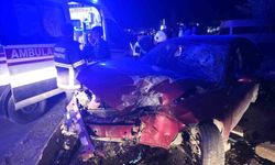 Otomobil ağaca çarptı: 3 kişi yaralı