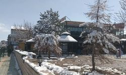 Özalp'ta nisan ayı karıyla kaplandı