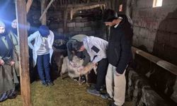 Özalp'ta Tarım ve Hayvancılık İçin Eğitim Programı Başlatıldı