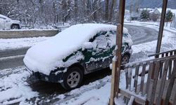 Posof'ta kar yağışı hayatı olumsuz etkiliyor