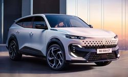 Renault'dan veteriner hekimlere özel teklif: 20.000 TL indirim ve dosya masrafsız kredi