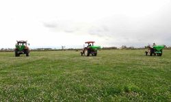 Samsun meralarında ıslah çalışmaları tüm hızıyla sürmekte