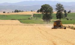 Samsun'da Tarım ve Hayvancılığa 3 Milyar TL'den Fazla Destek Sağlandı