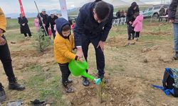 Sandıklı'da 'Türkiye'nin Orman Gücü' Programı