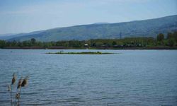 Sapanca Gölü'nde su seviyesi düştü: Gizemli ada yeniden gün yüzüne çıktı