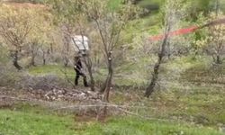 Siirt'te el freni çekilmeyen kamyonet uçurumdan aşağı düştü