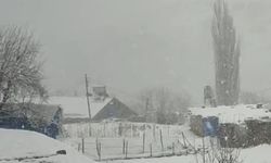 Siirt'te nisan ayında beklenmedik kar yağışı