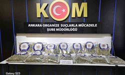 Silah kaçakçılığı ihbarında 25 kilo skunk uyuşturucu yakalandı