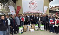 Simav'da çiftçilere yüzde 75 hibe ile tohum desteği