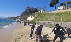 Sinop'ta plaj temizliği